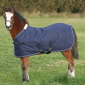 Mark Todd Foal Turnout Rugs